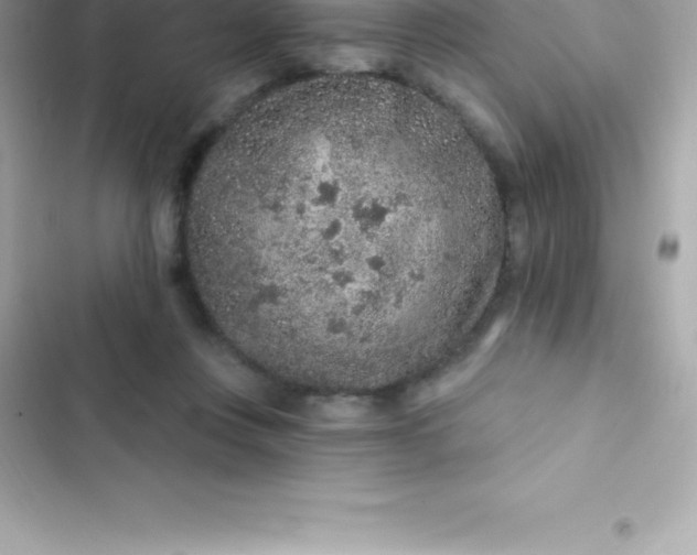 X0000103320359200809192145