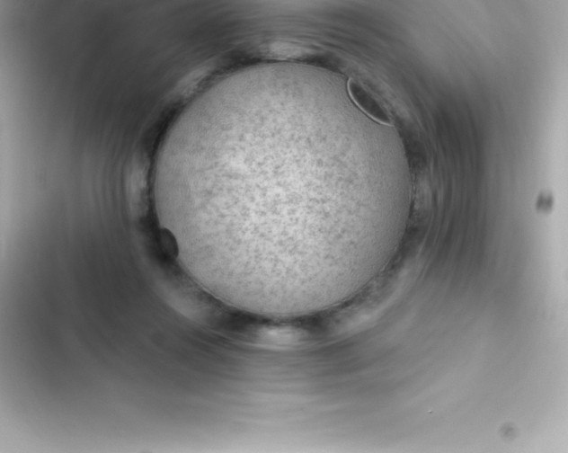 X0000103320360200809192145