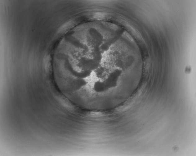 X0000103320361200809192145