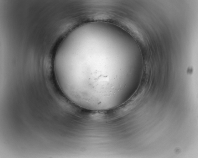 X0000103320362200809192145