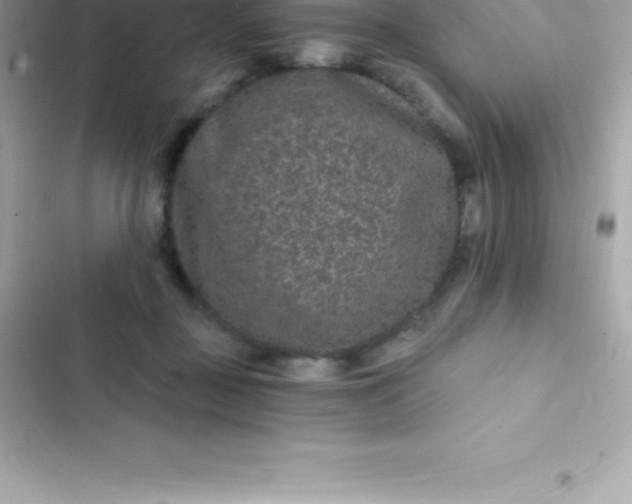 X0000103320363200809192145