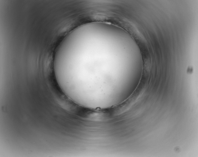 X0000103320364200809192145