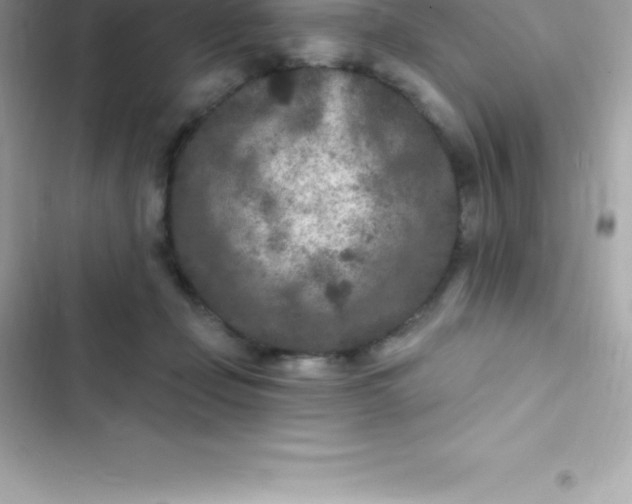 X0000103320365200809192145