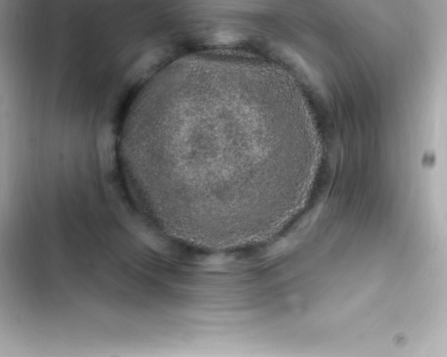 X0000103320366200809192145