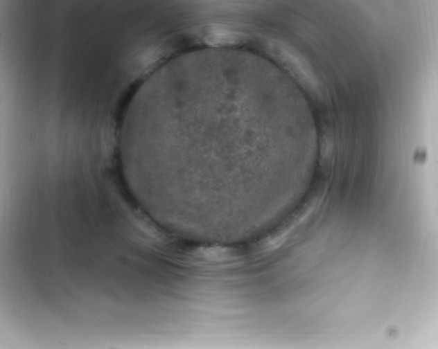 X0000103320367200809192146