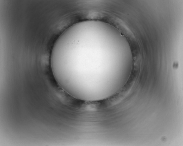 X0000103320368200809192146