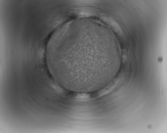 X0000103320369200809192146