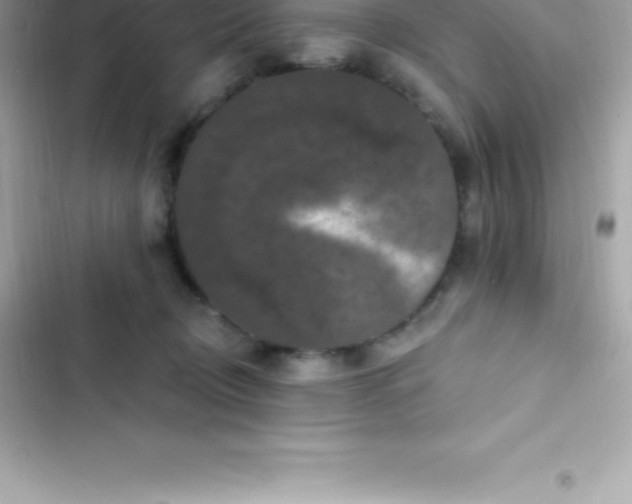 X0000103320370200809192146