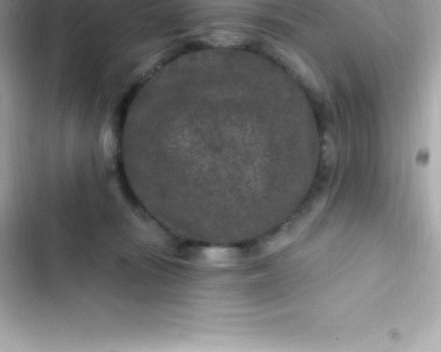 X0000103320371200809192146