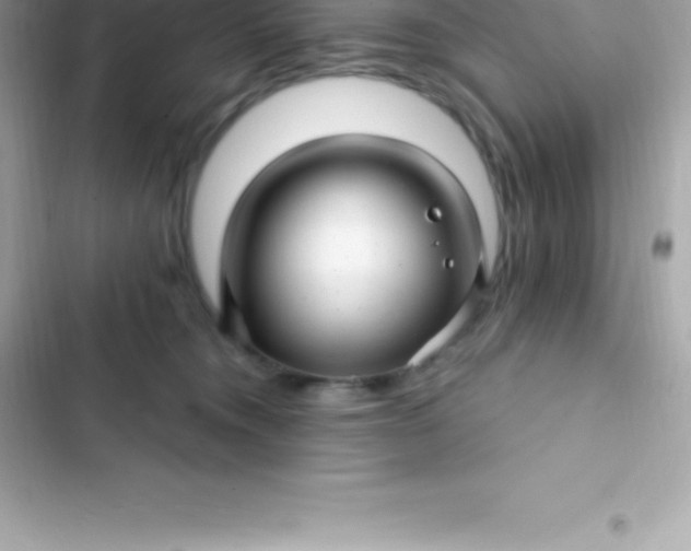 X0000103320372200809192146