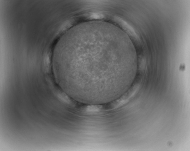 X0000103320373200809192146