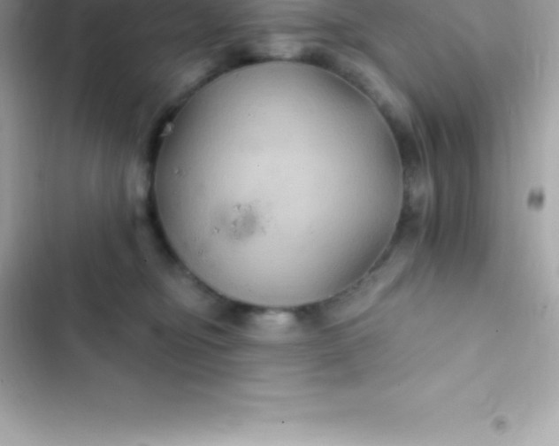 X0000103320374200809192146