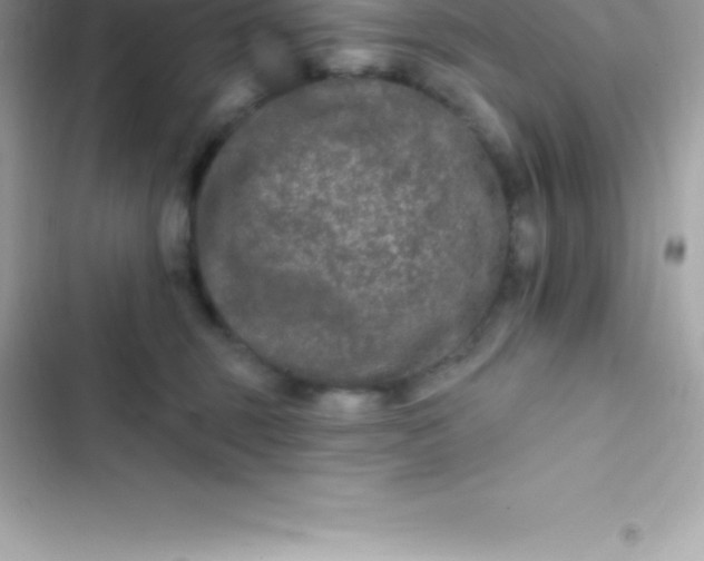 X0000103320375200809192146