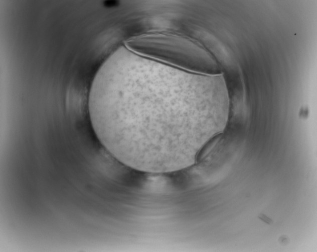 X0000103320376200809192146