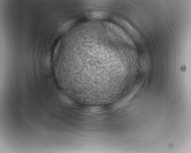 X0000103320377200809192146