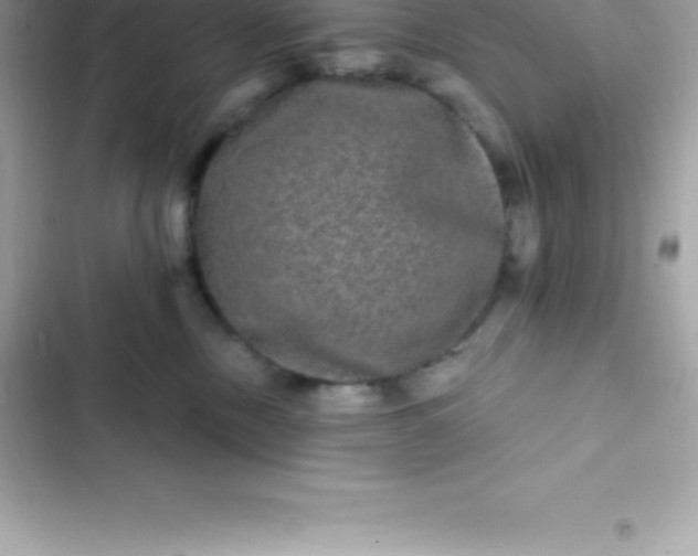 X0000103320378200809192146