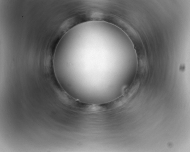 X0000103320379200809192146