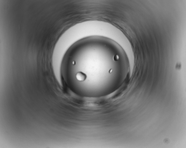 X0000103320380200809192146