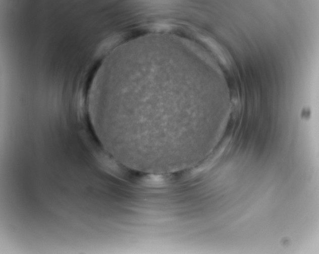 X0000103320381200809192146