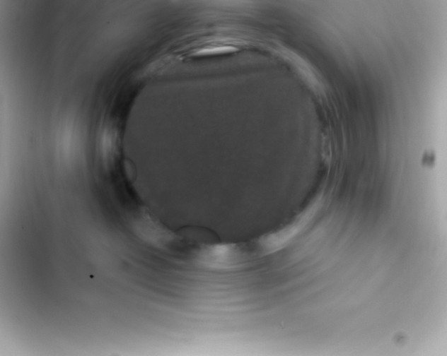 X0000103320382200809192146