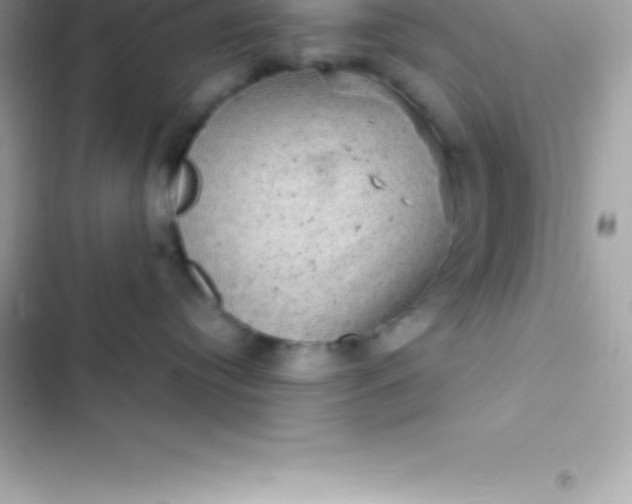 X0000103320384200809192146