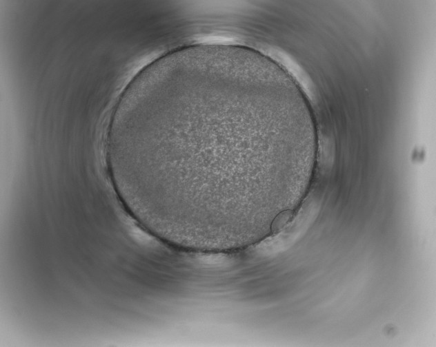 X0000103320385200809192145