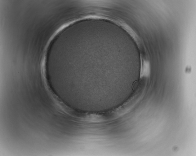 X0000103320387200809192145