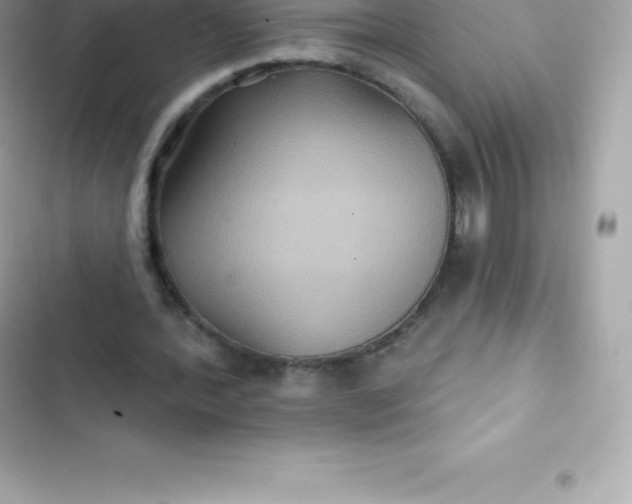 X0000103320388200809192145