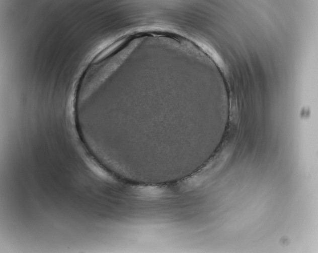 X0000103320389200809192145