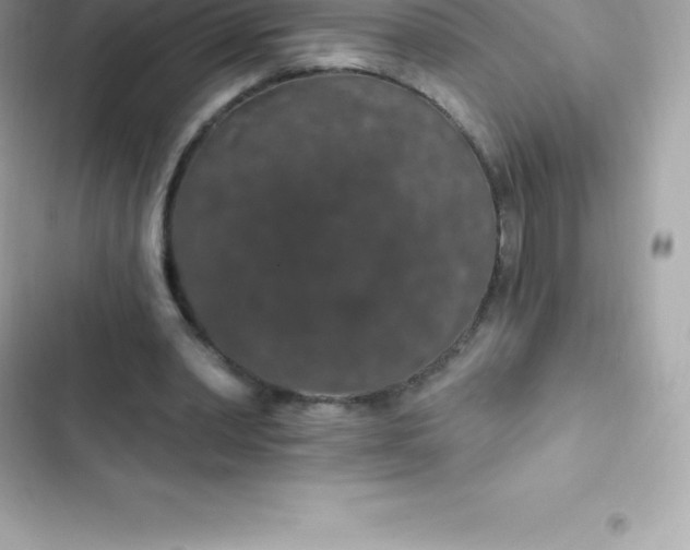 X0000103320390200809192145