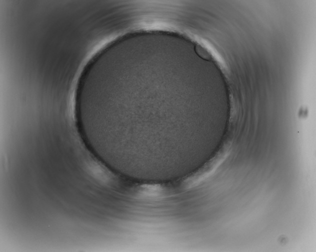 X0000103320391200809192145