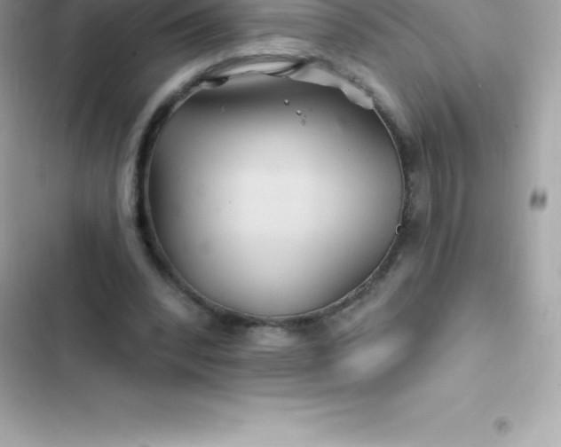 X0000103320392200809192145