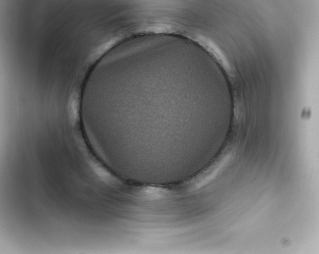 X0000103320393200809192145