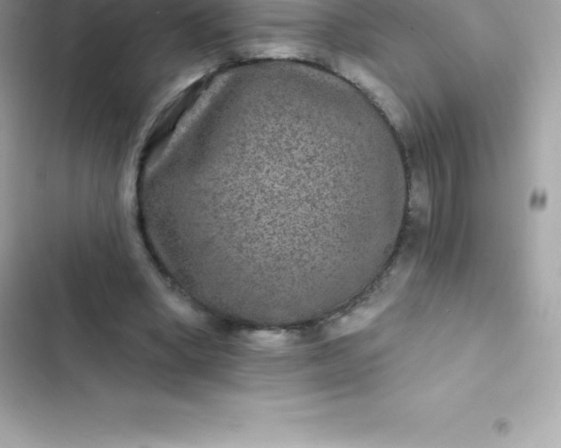 X0000103320394200809192145