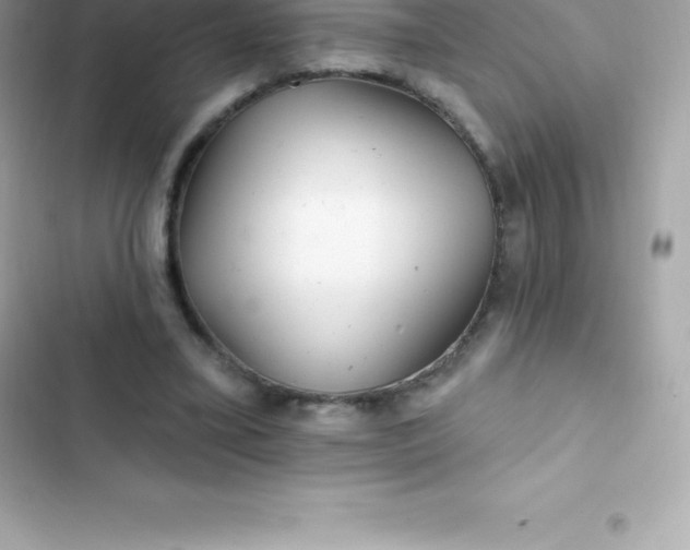 X0000103320395200809192145