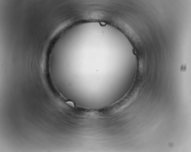 X0000103320396200809192145