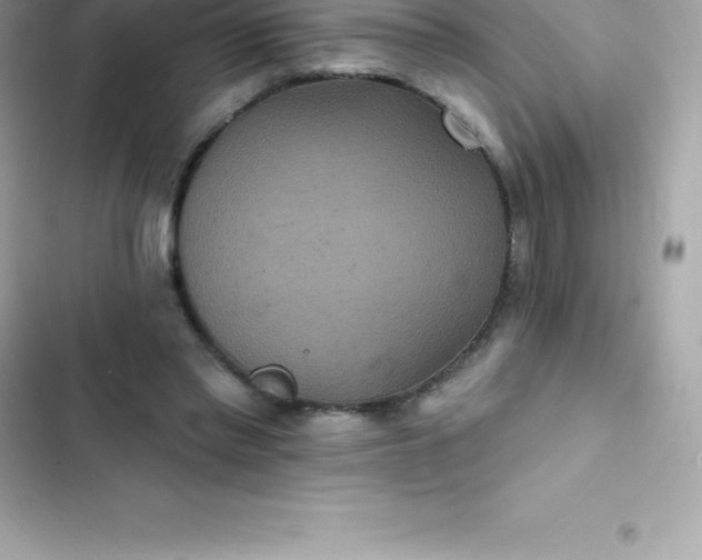 X0000103320397200809192145