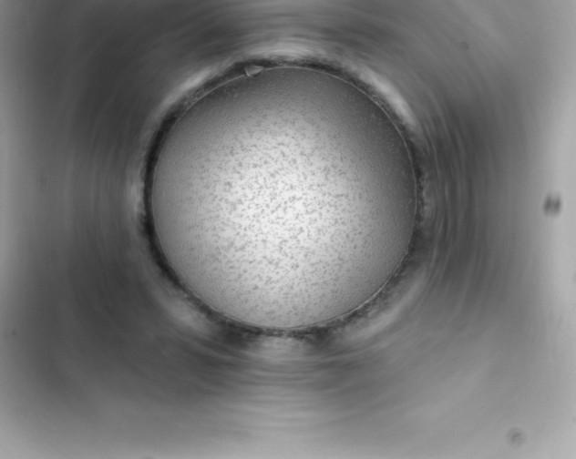 X0000103320399200809192145