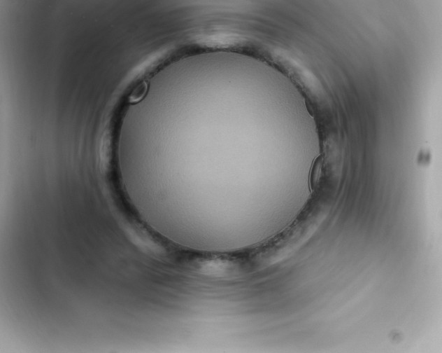 X0000103320400200809192145