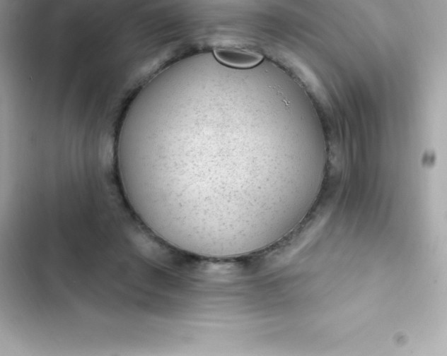 X0000103320401200809192145