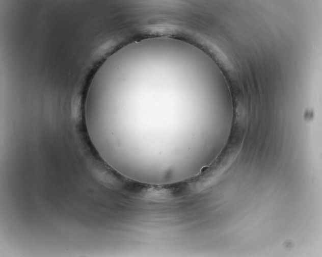 X0000103320403200809192145