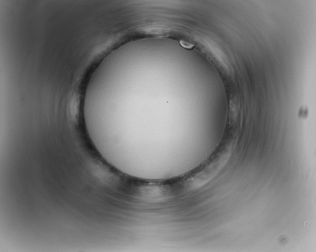 X0000103320404200809192145