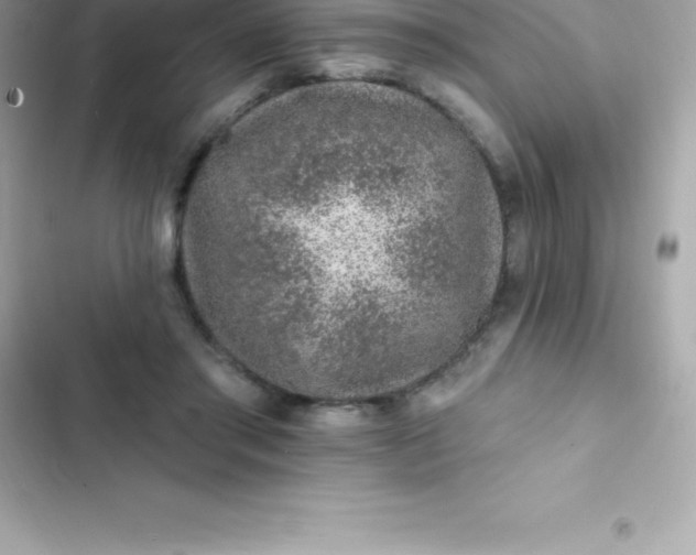 X0000103320405200809192145