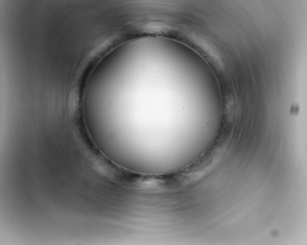 X0000103320407200809192145