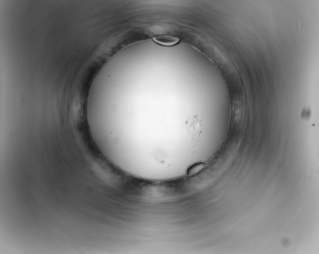 X0000103320408200809192145