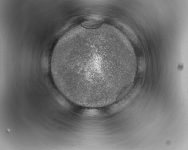 X0000103320409200809192145