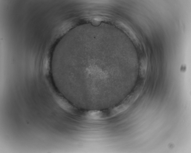 X0000103320410200809192145