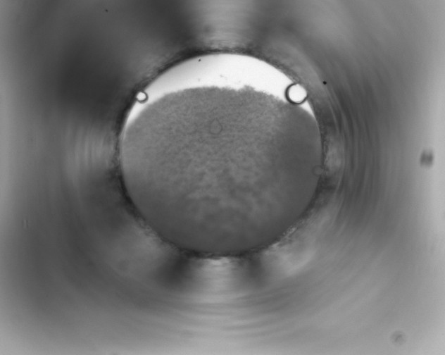 X0000103320411200809192145