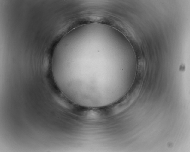 X0000103320412200809192145