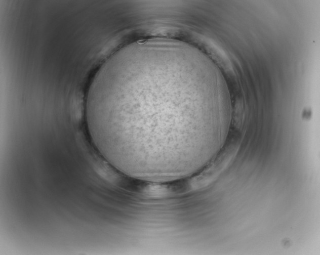 X0000103320413200809192145